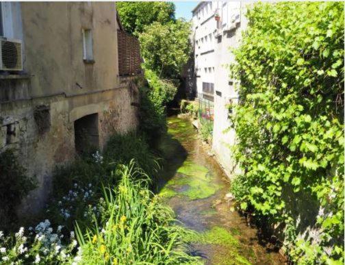Le Gite Entre Val Et Rose Provins Exteriör bild